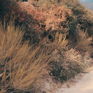 Meet your Posher, Lala